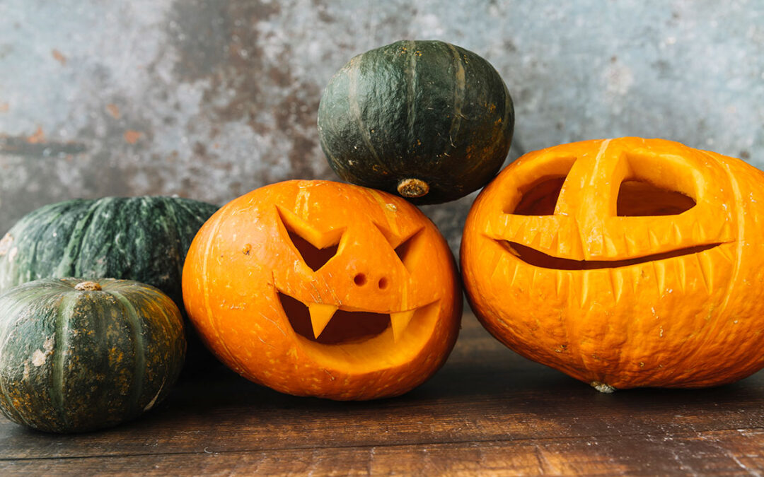 Konkurrence om Nexøs vildeste græskar